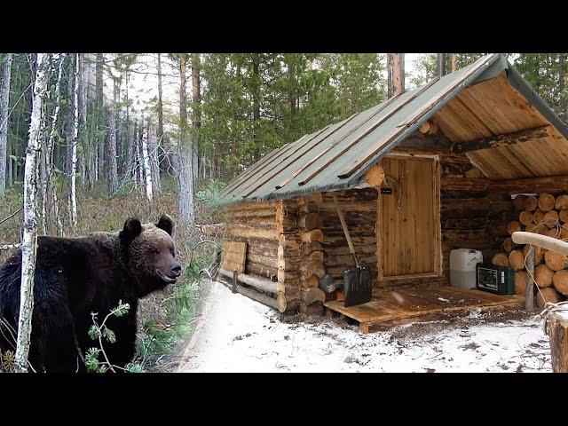 Весной живу в таёжной избе. Охота на  медведя.