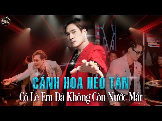 Cánh Hoa Héo Tàn Cuộc Tình Này Cũng Đã Tan Khánh Phương Remix, Có Lẽ Em Đã Không Còn Nước Mắt Domino