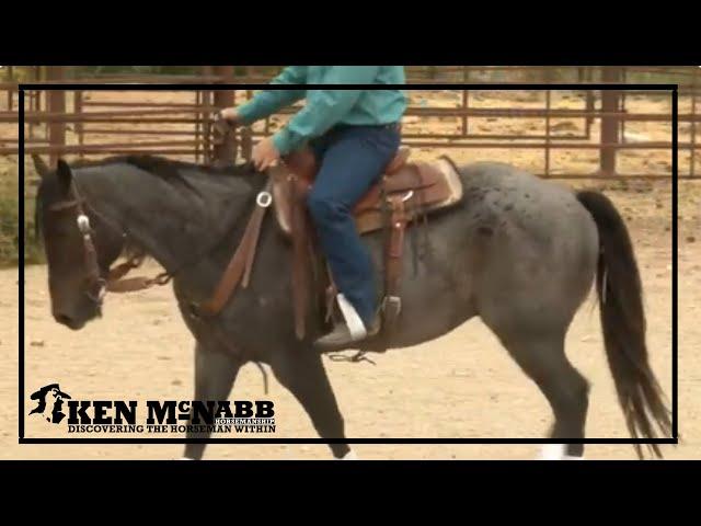 Ken McNabb: How to Build A Good Ranch Horse? | Preparing Your Horse for Cattle, Roping & More