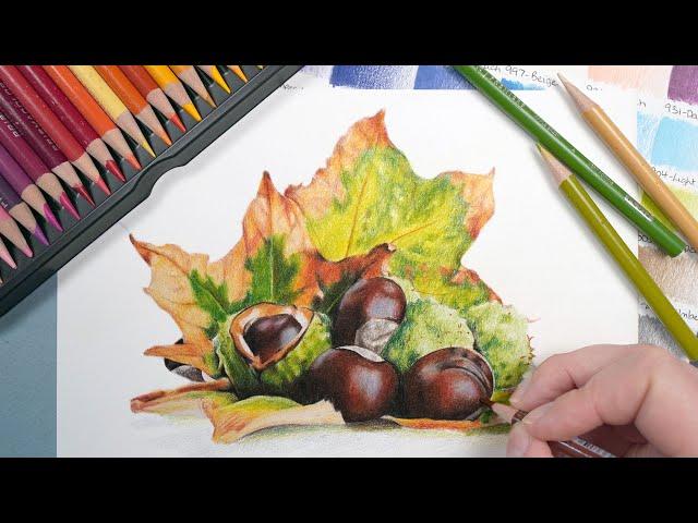 Coloured Pencil Autumn Drawing - Chestnuts With Prismacolor