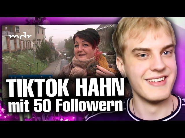 Hahn aus Gerbstedt wird zum TikTok-Star | NebelNiek Reaction