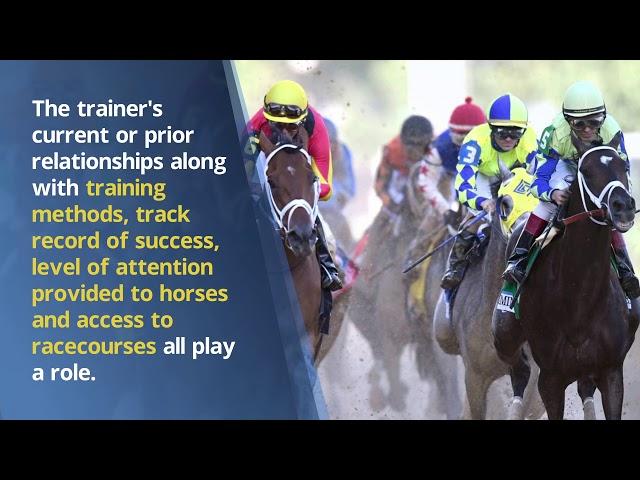 An Inside Look at how Elite Horses are Prepped for Successful Racing Careers - Richard Schibell