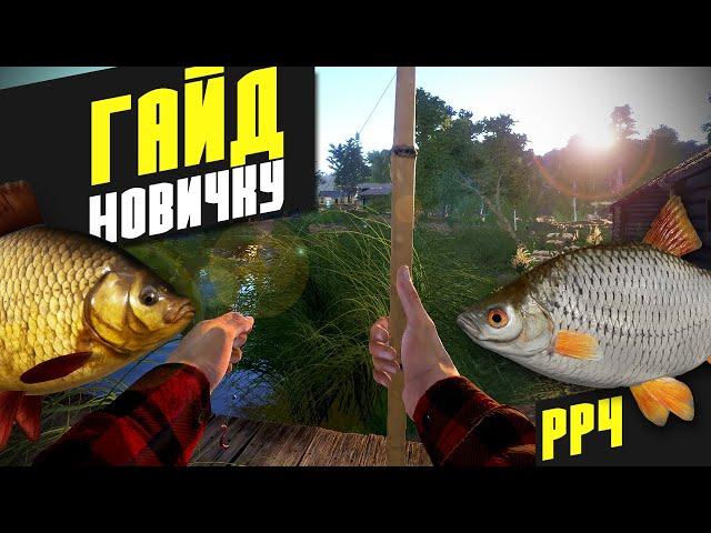 Гайд для Новичков - Русская рыбалка 4 [РР4]