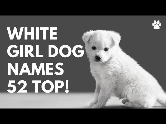  White Girl Dog Names 52 BEST  TOP  CUTE  Female Ideas | Names