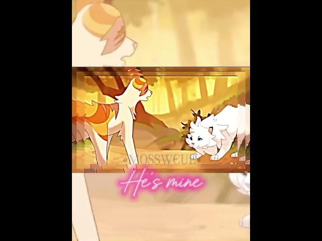 Im his, he’s mine #warriorcats #cat #warriorcatsedit #cloudtail #brightheart #edit #shorts #fypシ゚