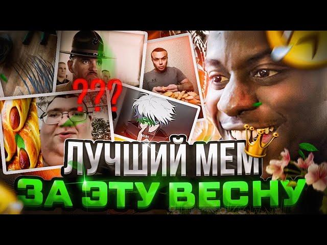 Лучшие мемы за эту весну? Подборка мемов 2024