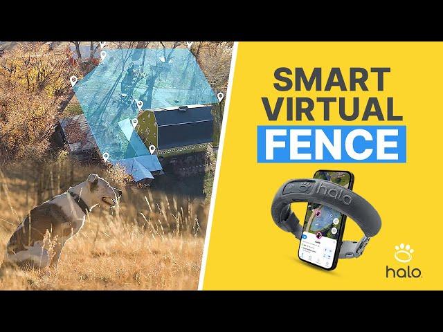 HOW THE HALO COLLAR WORKS? CREATE SMART VIRTUAL GPS DOG FENCES ANYWHERE