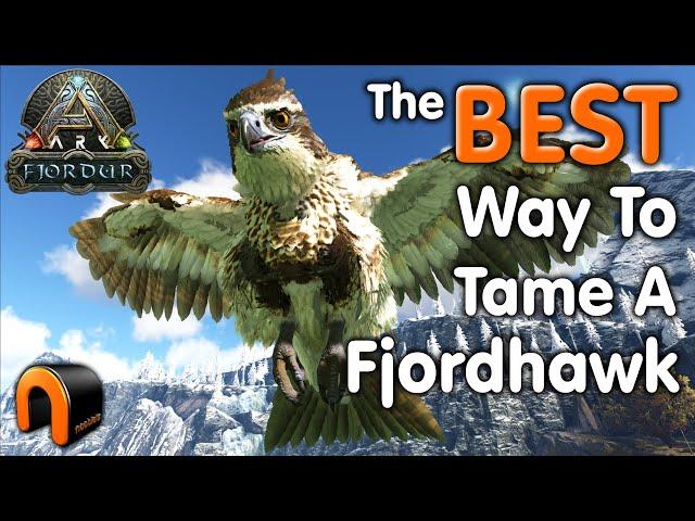 ARK How To TAME A FJORDHAWK On FJORDUR For REAL!