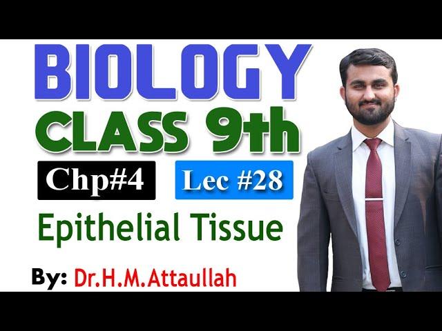 Epithelial Tissues | Chapter 4| 9th class Biology | Lec 28