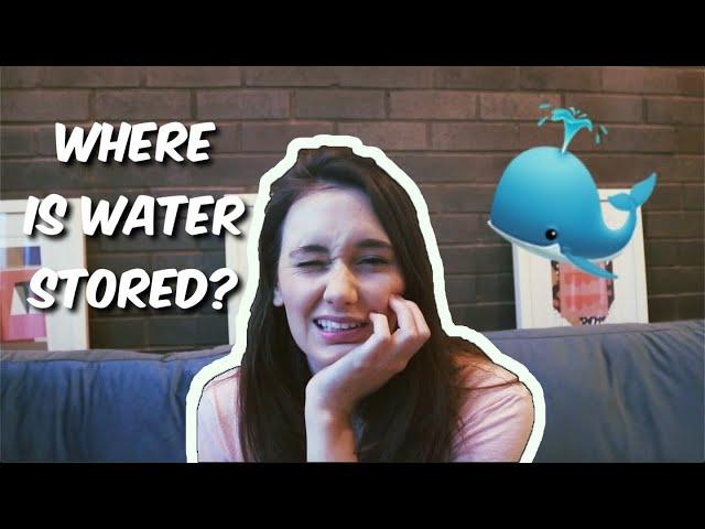 What Actually is Water Weight?