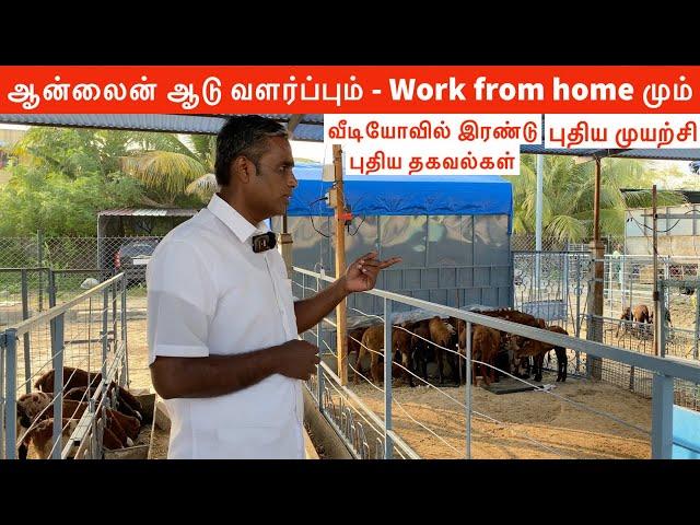 Future goat  farming 2024- work from home 