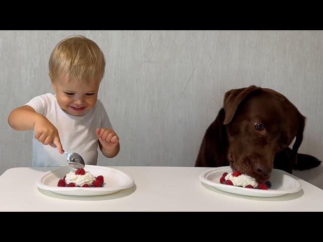 Who Will Eat the Cake First? Baby or Dog?!