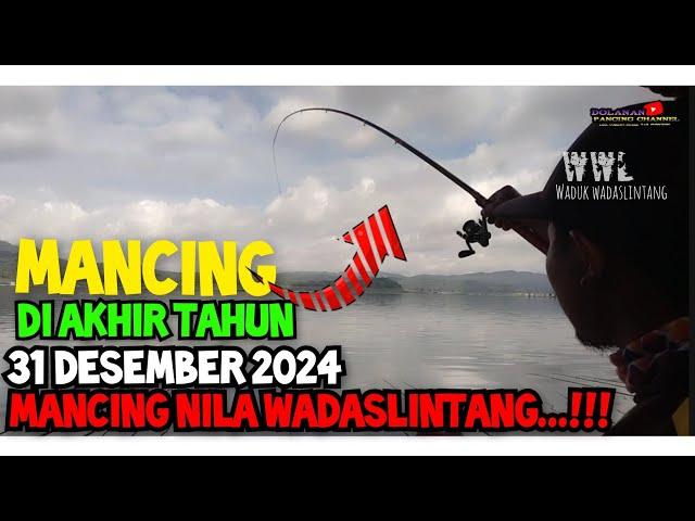 MANCING NILA WADASLINTANG AKHIR TAHUN 2024//MANCING NILA TERBARU