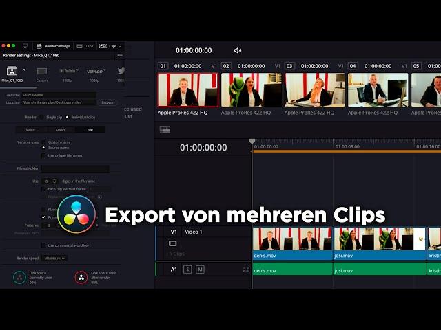 Export von mehreren Clips | DaVinci Resolve 17 Tutorial