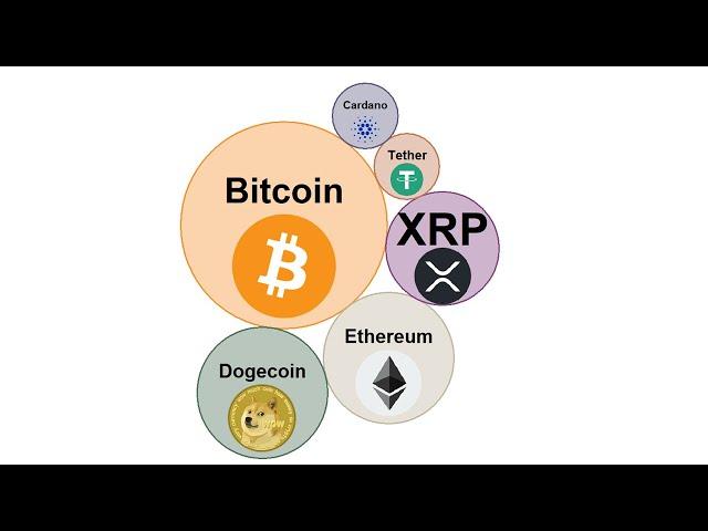 8 Years of Crypto Currency Visualized by Bubbles