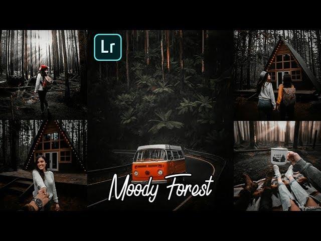 How To Edit Moody Forest | Lightroom Mobile Presets Free DNG