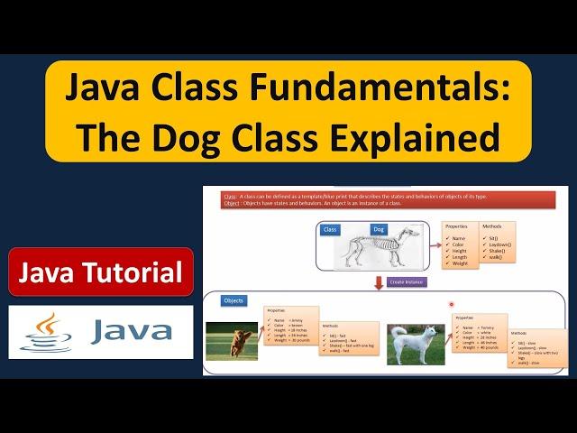 Java Class Fundamentals: The Dog Class Explained | Java Class | Java Tutorial