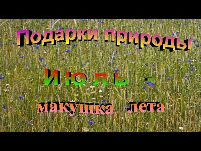 Подарки природы  Июль. Макушка лета.