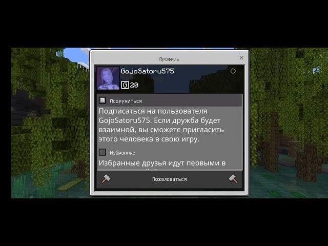 Как добавить человека в друзья версии майнкрафта 1.19? Ответ тут!