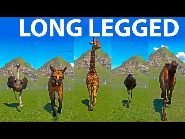 Long Legged Animals Speed Races in Planet Zoo included Giraffe, Emu, Camel, Wolf, Ostrich