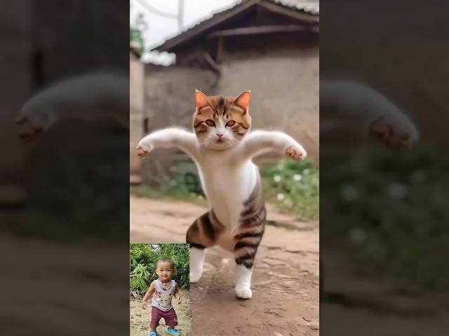 Cat Dance Funny Video  #shorts #viral #trending #youtubeshorts #catdance ||Cute cat dance