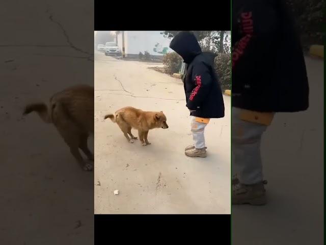 Awesome little boy and his pup ! Just precious ️