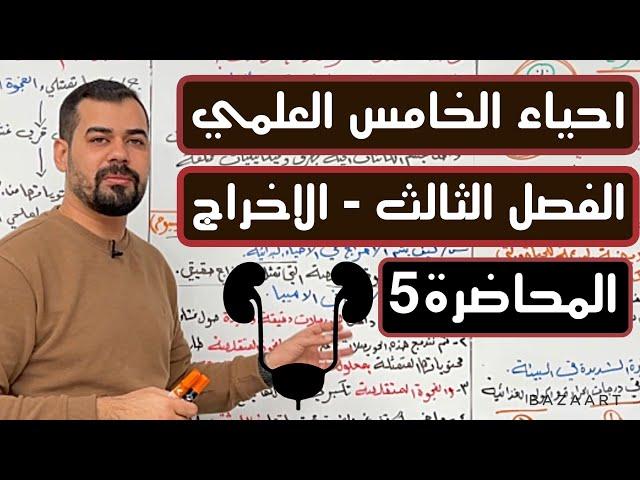 احياء الخامس العلمي | الفصل الثالث | الاخراج | الاخراج في الثديات | المحاضرة 5 #تركيب الكلية