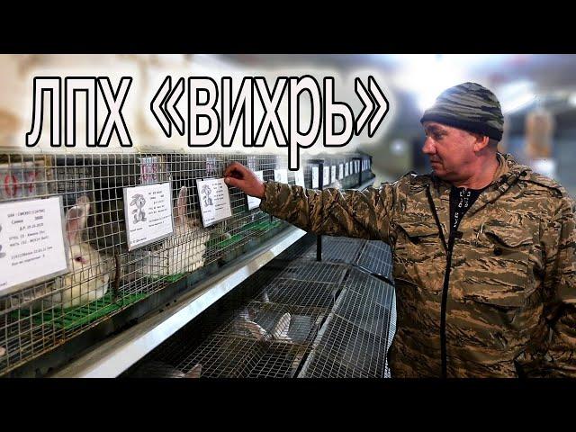 ОБРАЗЦОВО-ПОКАЗАТЕЛЬНЫЙ КРОЛЬЧАТНИК! В ГОСТЯХ У ВИКТОРА!