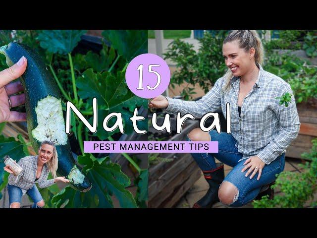 15 Tips for Natural Pest Management  + Organic Pest Control Strategy for Permaculture Gardens