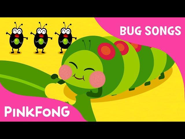 Hungry Caterpillars | Bug Songs | PINKFONG Songs