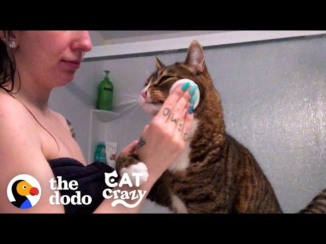 Cat Is VERY Involved In His Mom's Daily Routine | The Dodo