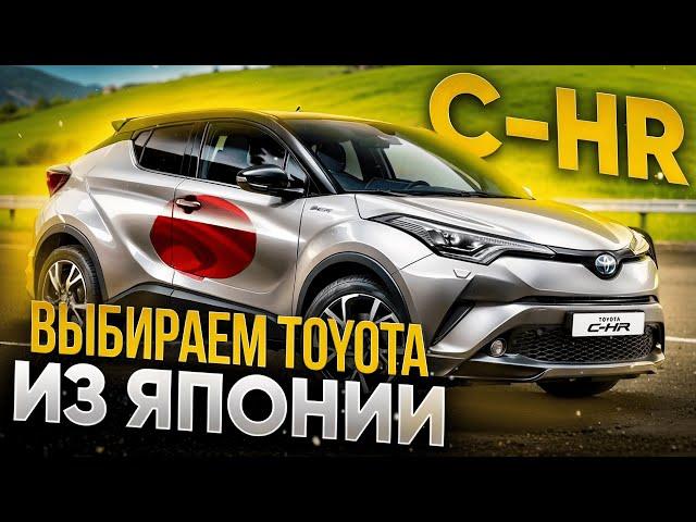 КУРСЫ СНОВА ВНИЗ!? Выбираем TOYOTA на аукционах ЯПОНИИ