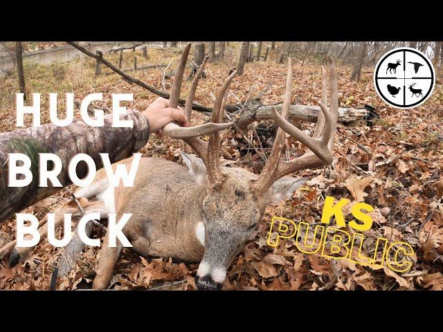 HUGE Brow Tine BUCK at 10 YARDS!!!  Hunting COLD FRONTS in KANSAS