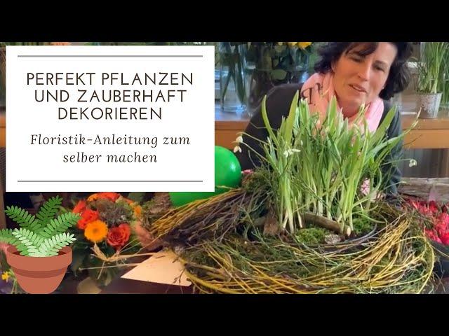 DEKOTIPPS FÜR FRÜHLINGSPFLANZEN Floristik-Anleitung zum selber machen Geschenkidee Blumendeko