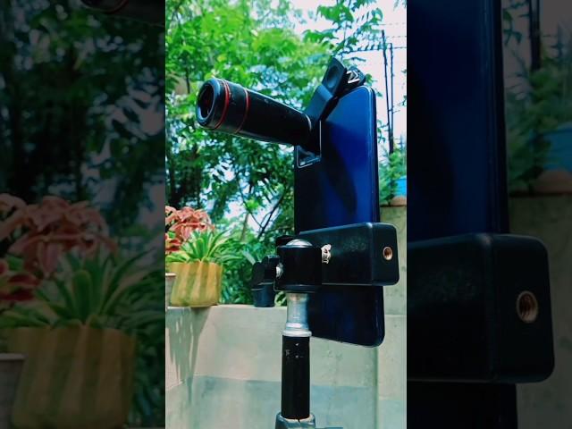 Flower videography with 12x zoom lens | #short