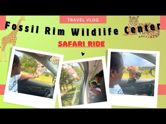 #Fossil Rim Wildlife Center #safari #full tour #animals #Best wildlife center in Texas #usa #tamil