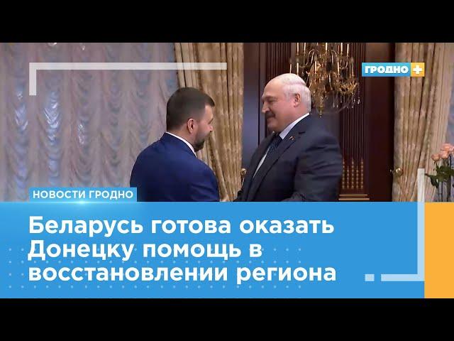 Александр Лукашенко провел встречу с временно исполняющим обязанности главы ДНР Денисом Пушилиным