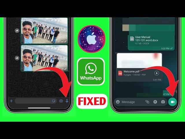 Cómo solucionar la opción de mensaje de vídeo de WhatsApp que no se muestra en el iPhone [2023]