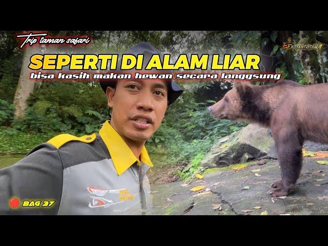 MEMBERI MAKAN SATWA LIAR SECARA LANGSUNG‼️ seakan kita ada di dalam hutan ‼️