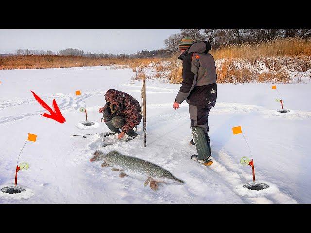 ЩУКИ КОЧЕГАРЫ на ЖЕРЛИЦЫ!!! РЫБАЛКА ЗИМОЙ на СЕВЕРСКОМ ДОНЦЕ