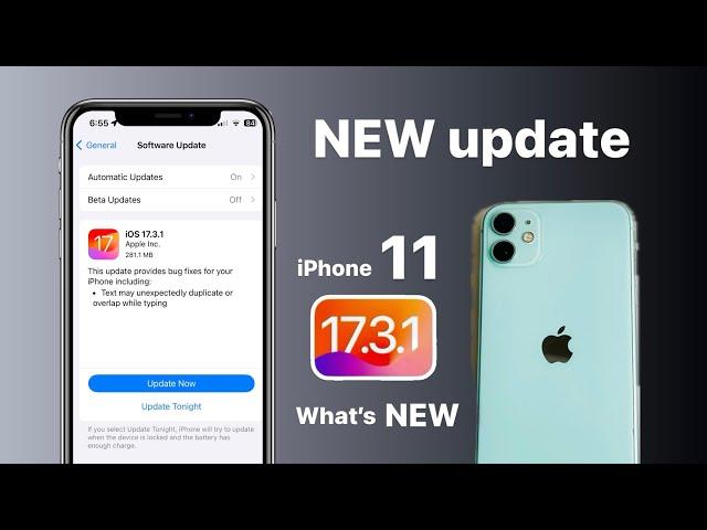 iPhone 11 on iOS 17.3.1 - New Update + New Features 