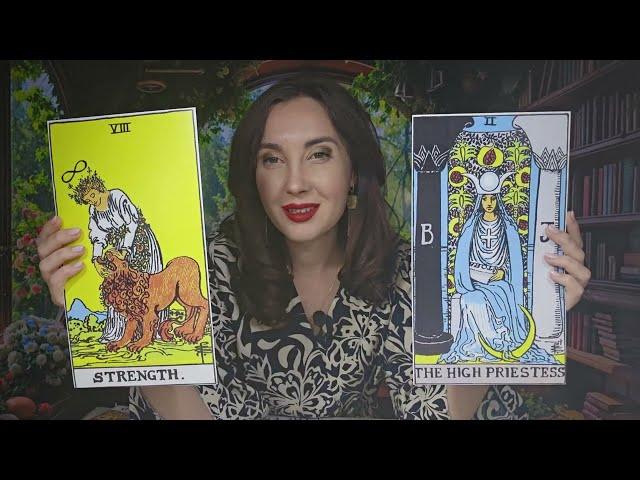 FRIDAY ‍️ FEBRUARY 28  NEW MOON!  ANOTHER WORLD AND DUALITY! ‍️ DAILY TAROT HOROSCOPE