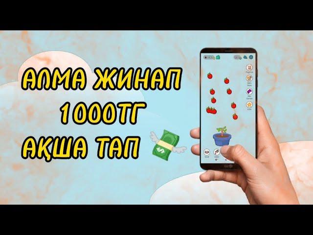 АЛМА АҒАШ АЛМА ЖИНАП 1000 ТГ АҚША ТАБУ