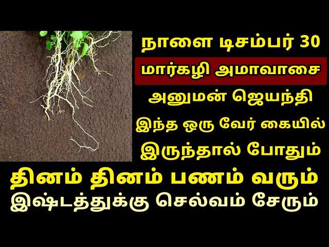 நாளை Dec-30 மார்கழி அமாவாசை அனுமன் ஜெயந்தி இந்த வேர் போதும்! markazhi amavasai hanuman jayanthi 2024