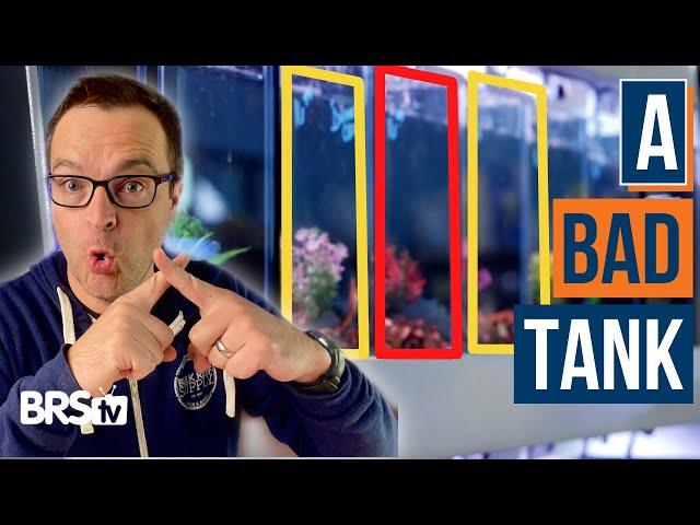 Going to Your Local Fish Store? 8 Rules for Picking Out New Saltwater Fish! - Ep. 33