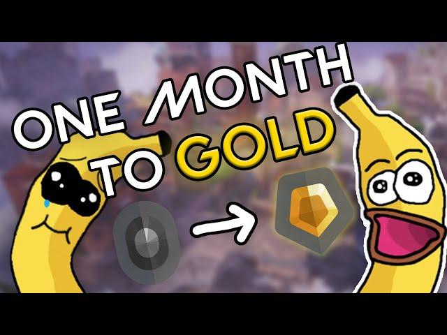 Get Gold in One Month, Guaranteed | (Radiant Coaching)