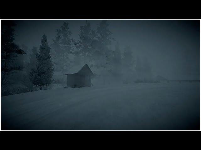 Freezing Blizzard in the Forest┇Howling Wind & Blowing Snow┇Sounds for Sleep, Study & Relaxation