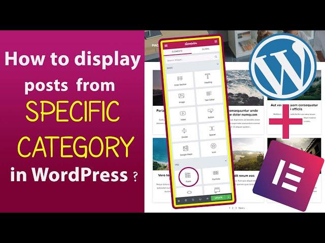 How to display posts of specific #category​ in #WordPress​ & #elementor​ ?