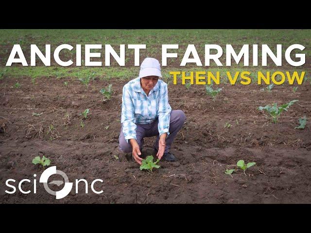 How Indigenous farming practices help the soil