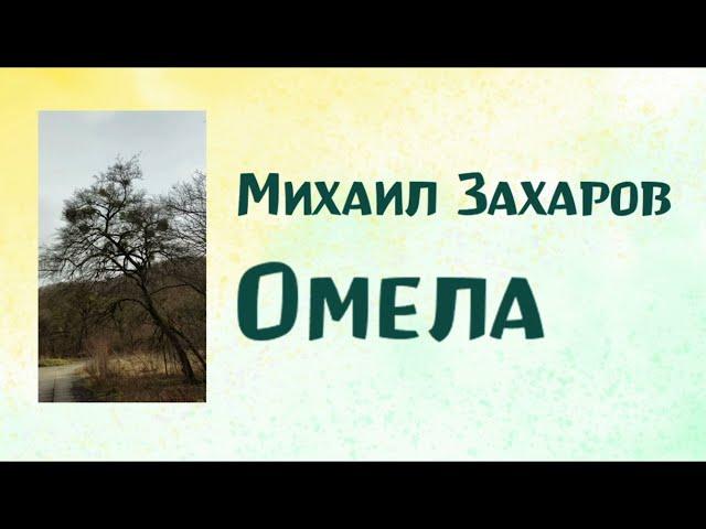 Михаил Захаров. Омела. 07.11.22